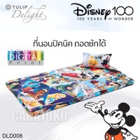 ชุดที่นอนปิคนิคดิสนีย์ 100 ปีDisney 100 YearsDLD008