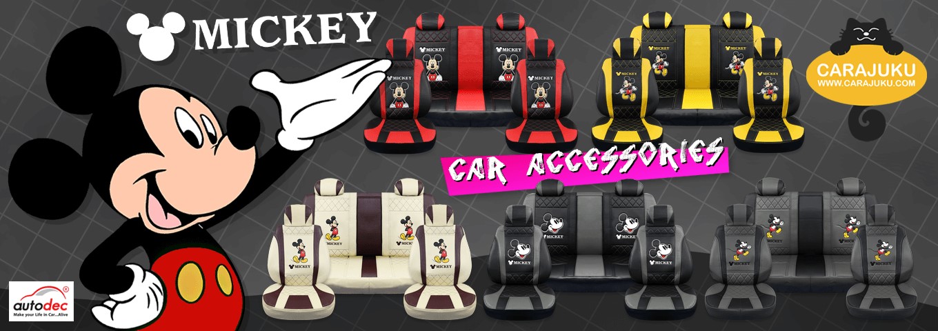 mickey pvc